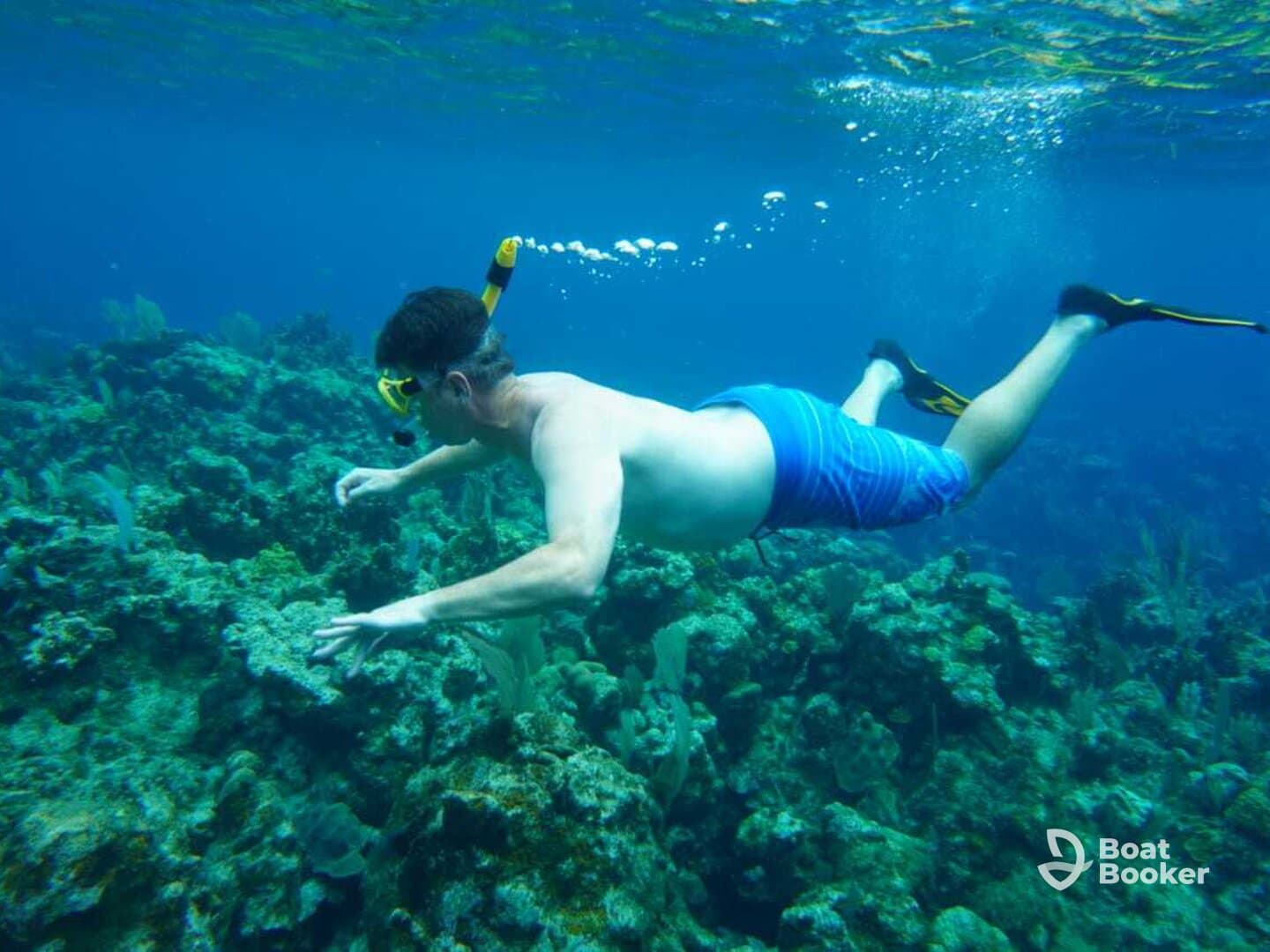 A snorkeler explores vibrant coral reefs underwater, showcasing the beauty of marine life and adventure in the ocean.