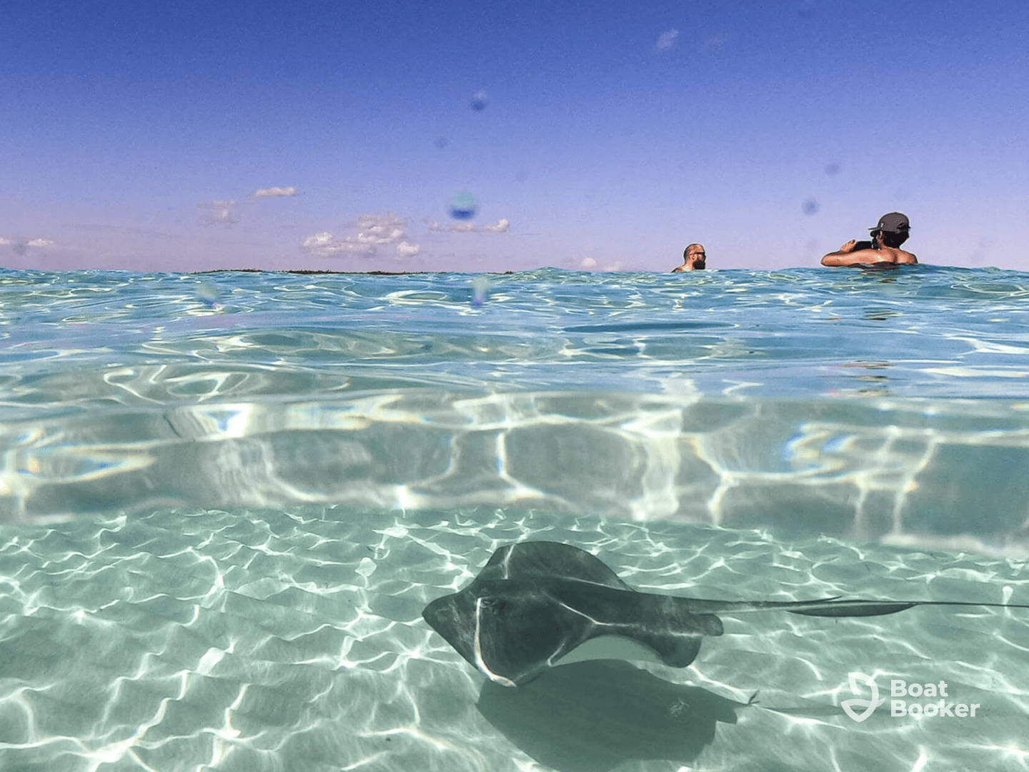 A stunning underwater shot captures a stingray swimming gracefully beneath the surface, while two people enjoy the clear waters above — a perfect moment for wildlife enthusiasts.