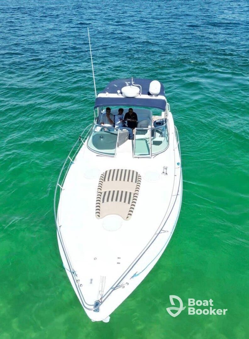 Charter Image