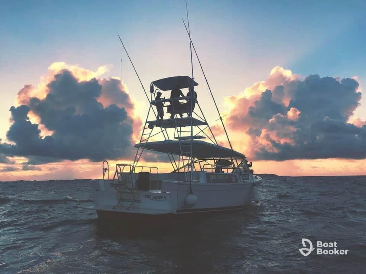 Sunset view