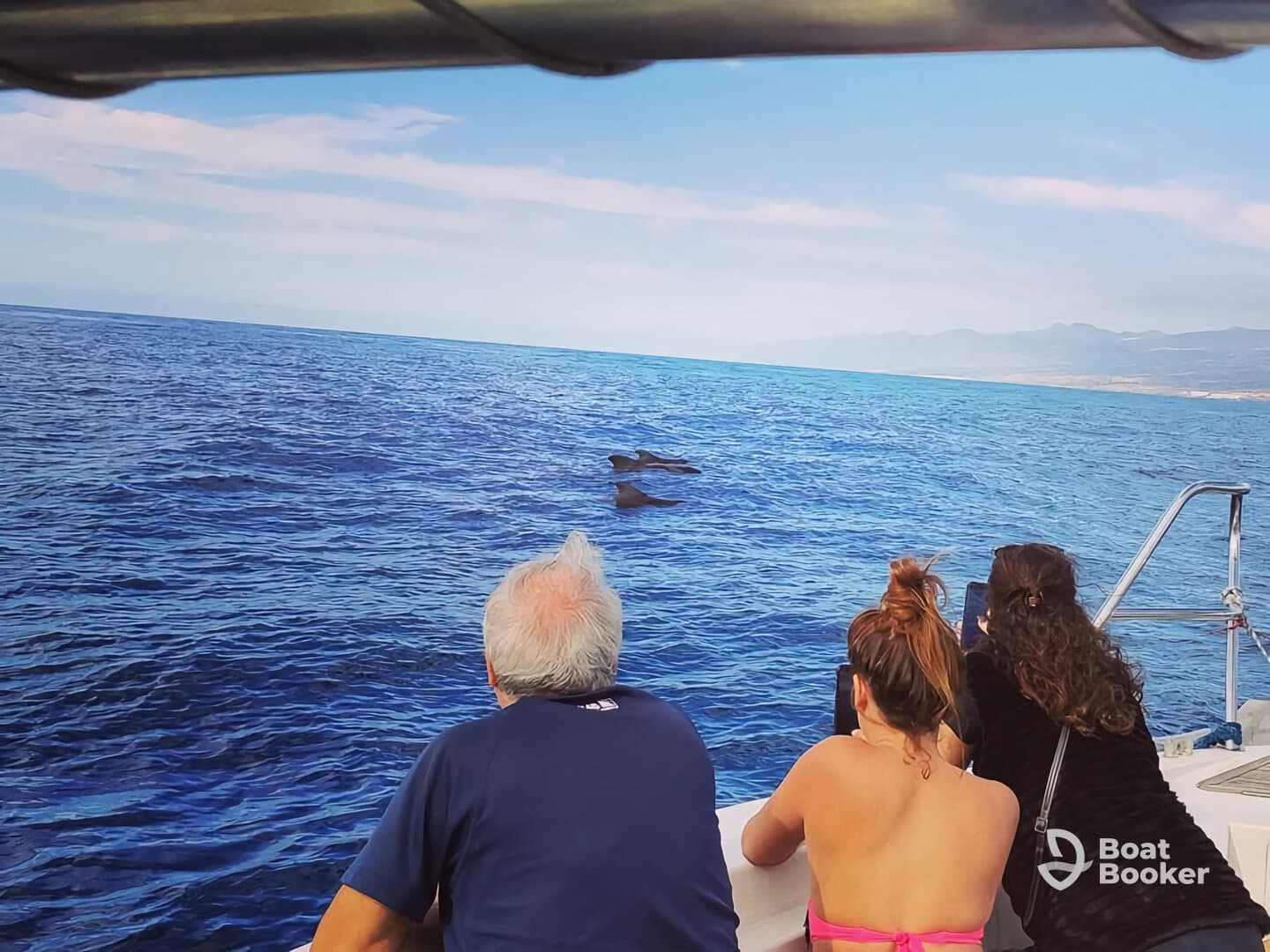 Guests on a boat excitedly observe dolphins swimming nearby, capturing a memorable wildlife encounter in the open sea.