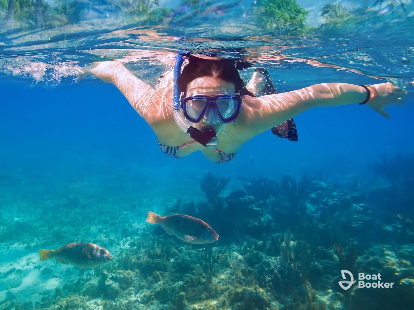 A snorkeler explores vibrant underwater life, swimming alongside colorful fish in crystal-clear waters — an unforgettable adventure for marine enthusiasts.