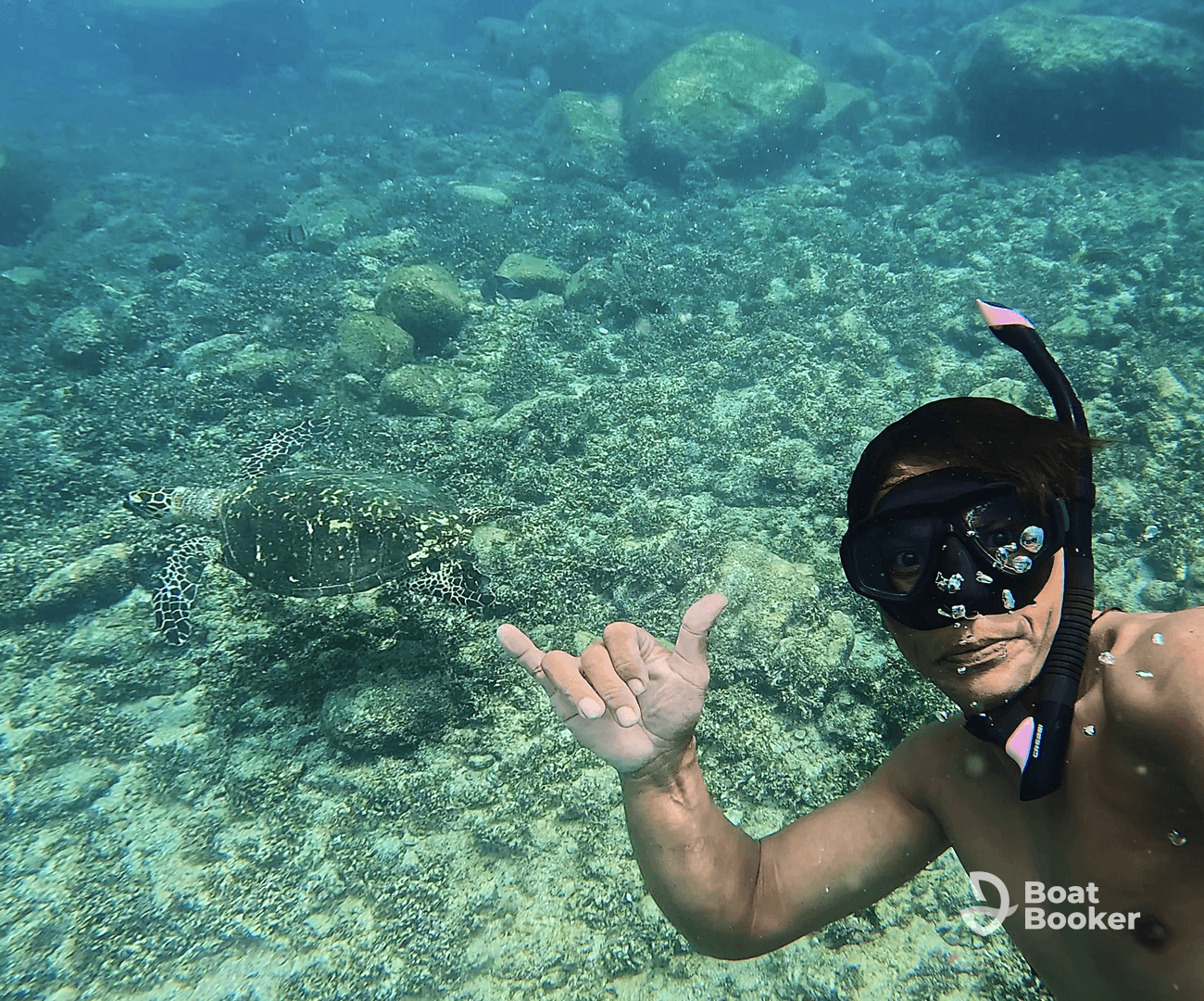 A snorkeler interacts with a sea turtle underwater, showcasing a unique wildlife encounter in a vibrant marine environment.
