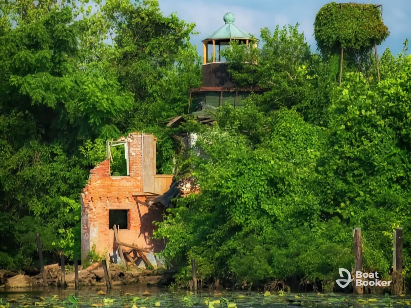 An overgrown structure partially hidden by foliage, creating an intriguing yet unclear scene. Ideal for exploring themes of nature reclaiming human spaces.