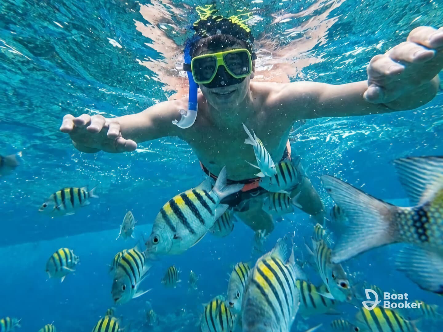 A young snorkeler interacts with vibrant fish underwater, showcasing the thrill of marine exploration and adventure in crystal-clear waters.