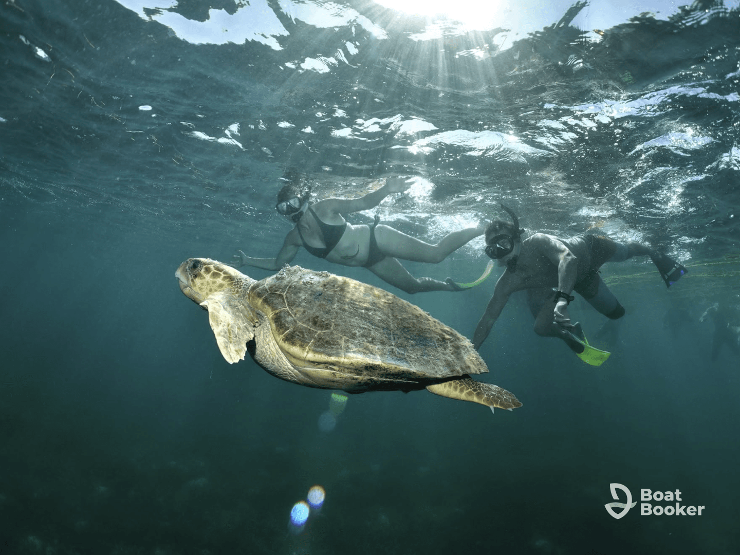 Snorkelers interact with a majestic sea turtle underwater, showcasing a beautiful wildlife experience in a vibrant marine environment.