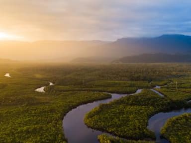 State of Amazonas