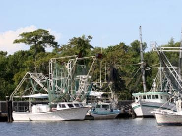 Louisiana