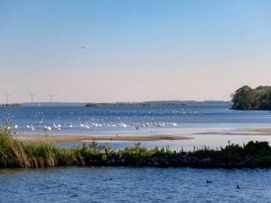 IJsselmeer