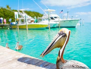 Islamorada