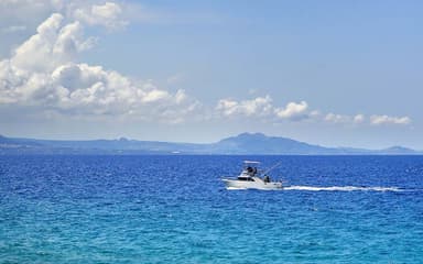 Rose Island