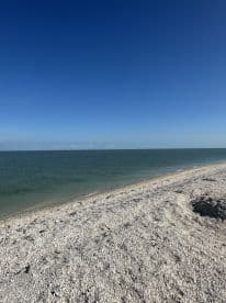 A scenic view of a beach with a clear blue sky and calm waters, showcasing a serene coastal environment.