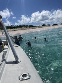 A lively group enjoys swimming in the clear waters near a sandy beach, creating a perfect day of fun and relaxation under the sun.