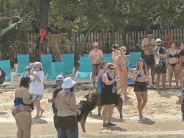 A lively group of beachgoers enjoys a sunny day by the water, capturing moments of fun and celebration on the shore.