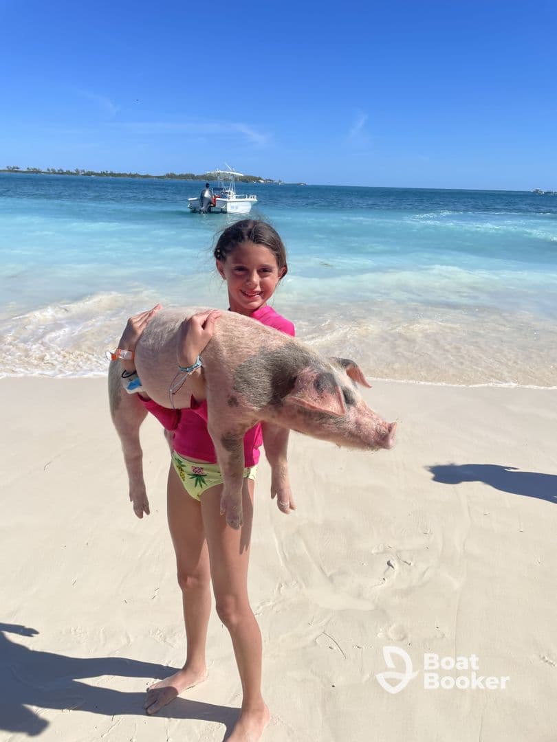A young girl joyfully holds a pig on the beach, showcasing a unique wildlife interaction in the Bahamas — a memorable experience for visitors.