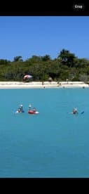 A group of friends enjoys a sunny day swimming in crystal-clear waters, waving from their colorful floats — a perfect beach day adventure.
