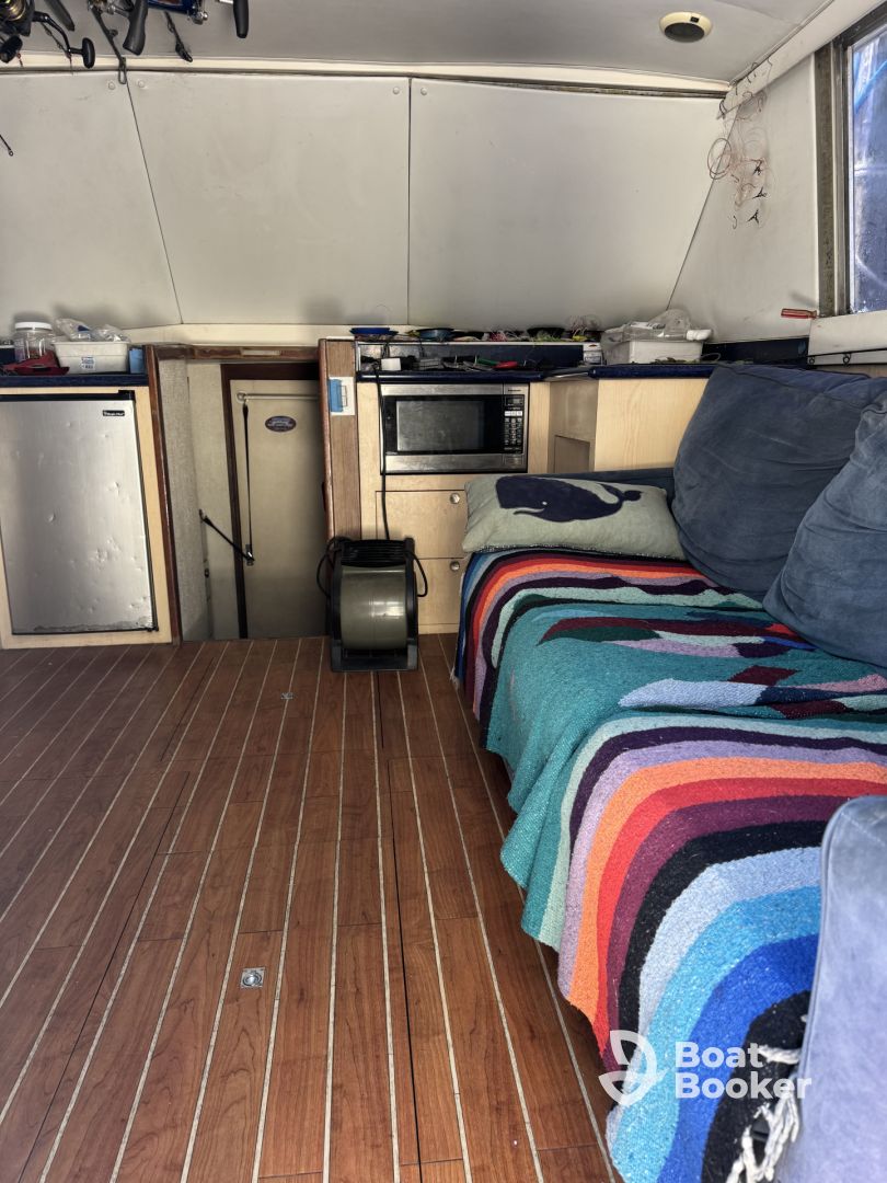 Boating with David