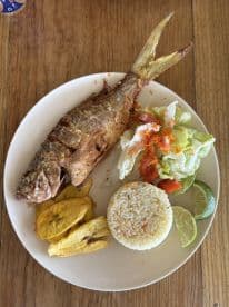 A delicious plate featuring fried fish, rice, salad, and plantains, perfect for enjoying onboard during a tropical getaway.