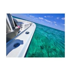 A sleek speedboat glides over crystal-clear waters, showcasing the vibrant marine environment beneath — perfect for adventure seekers and water enthusiasts.