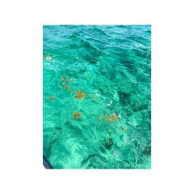 An unclear image of turquoise waters with some floating seaweed, lacking a distinct subject.