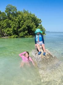 Two children enjoy a sunny day by the water, one swimming and the other perched on a rock, surrounded by lush mangroves — a perfect family adventure in nature.