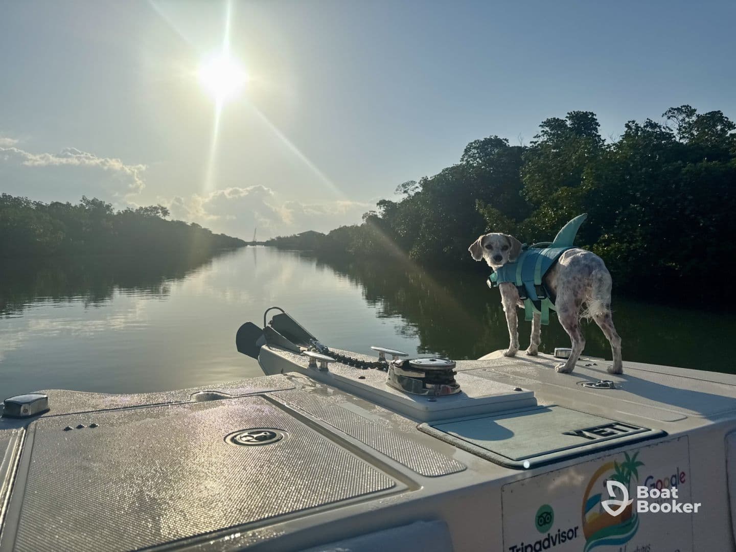 A playful dog in a life jacket stands on the bow of a boat, enjoying a sunny day on the water — a perfect companion for aquatic adventures.