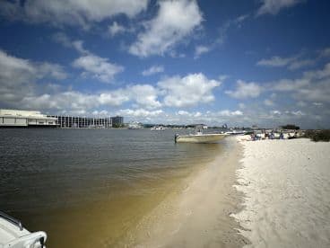 A lively beach scene with a group enjoying a sandbar stop, showcasing relaxation and fun under the sun.