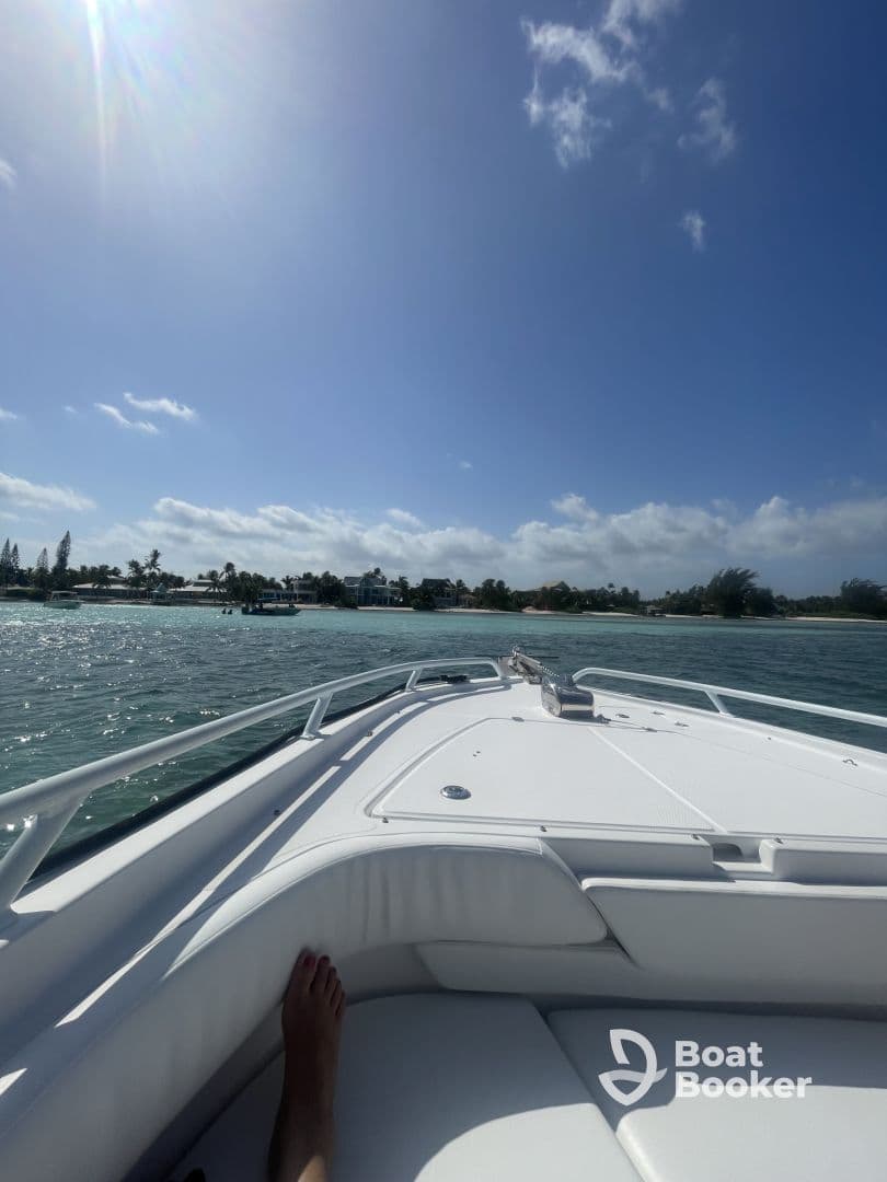 A view from the front of a speedboat, showcasing the serene waters and sunny skies, perfect for a day out on the water.