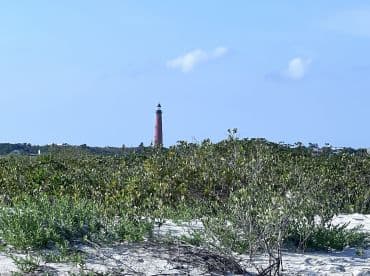 A distant view of a lighthouse surrounded by greenery, with unclear visibility of the scene.