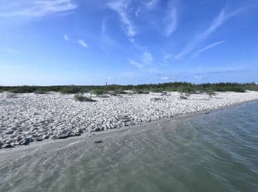 A scenic view of a sandy beach with sparse vegetation under a clear blue sky, ideal for showcasing coastal landscapes.