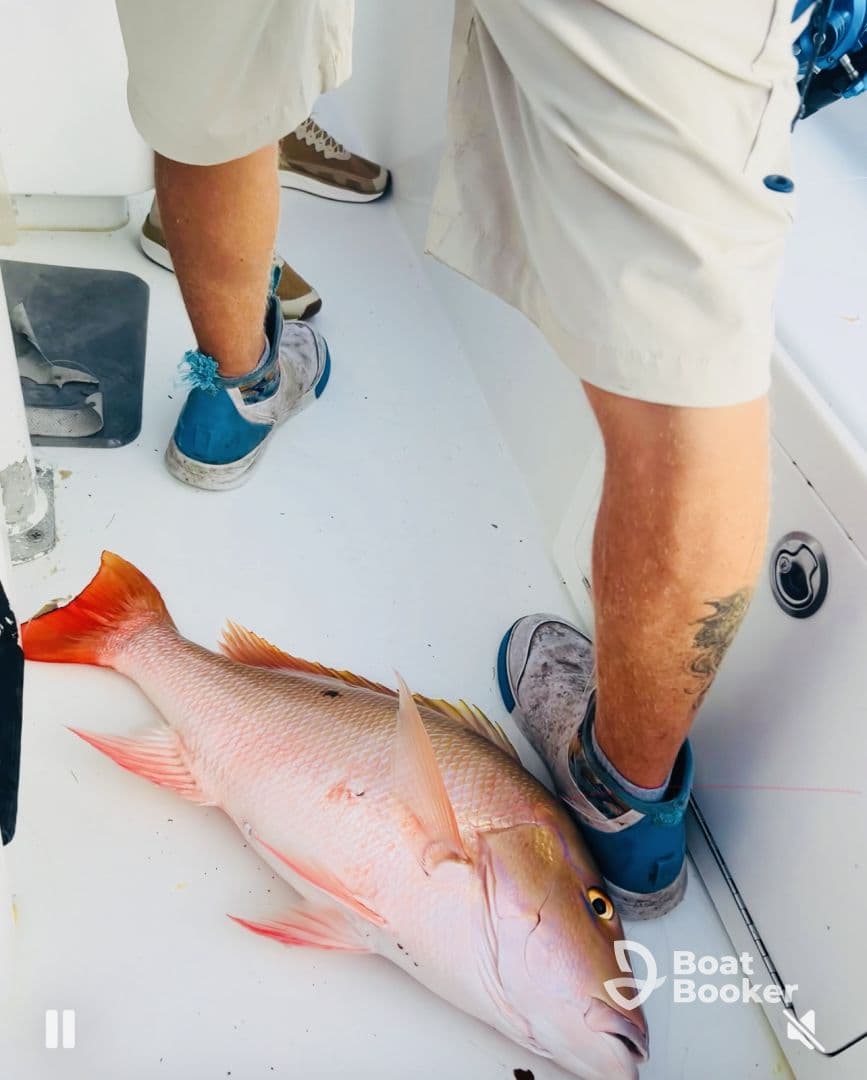 A close-up of a freshly caught fish on the deck of a boat, showcasing the excitement of a successful fishing trip.
