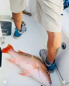 A close-up of a freshly caught fish on the deck of a boat, showcasing the excitement of a successful fishing trip.
