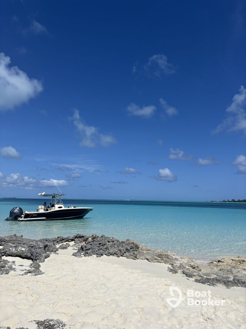 Best in the Bahamas! 