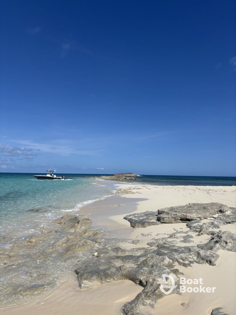 Best in the Bahamas! 