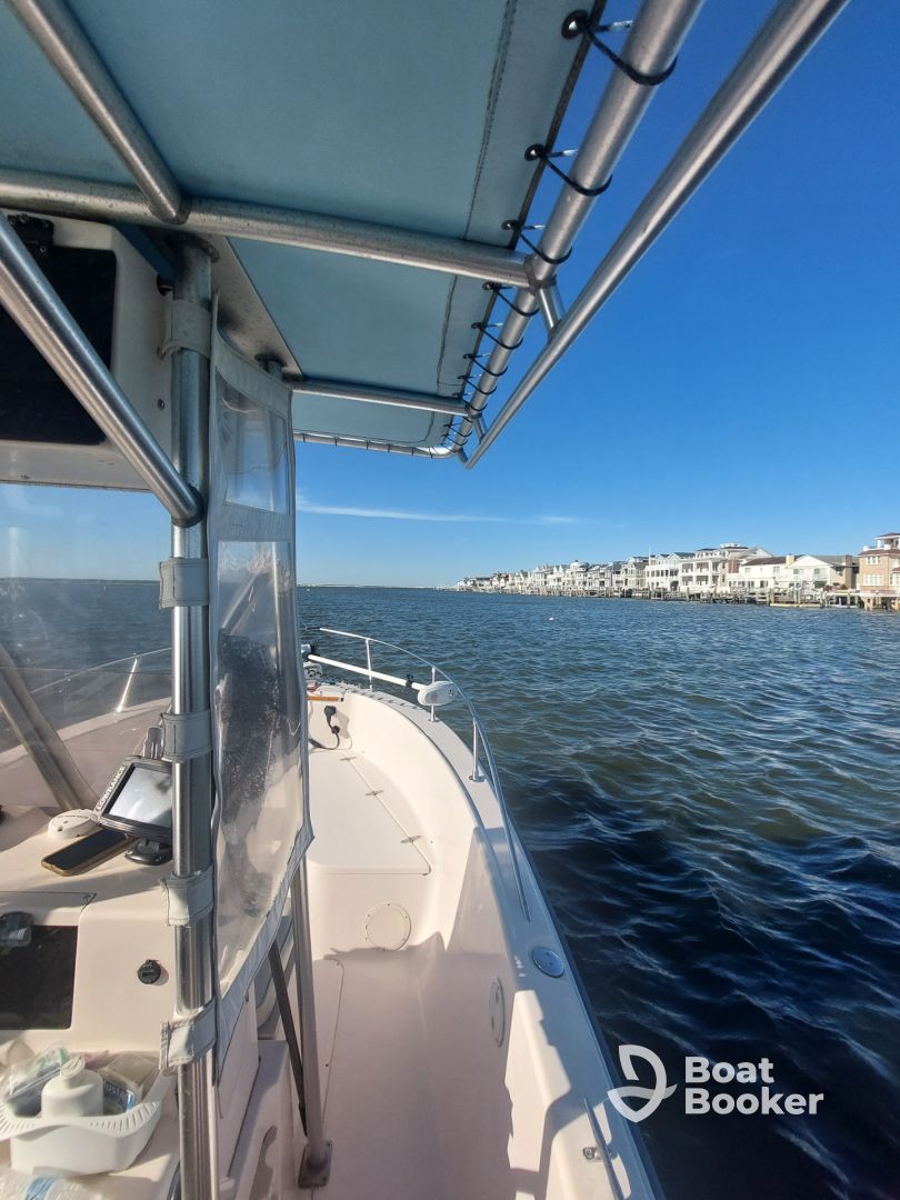 A perfect cruise with Elysian!