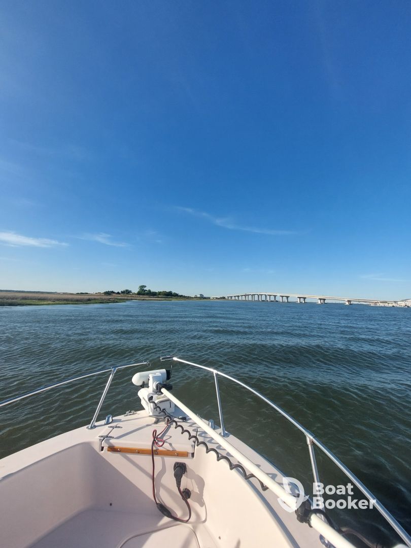 A perfect cruise with Elysian!