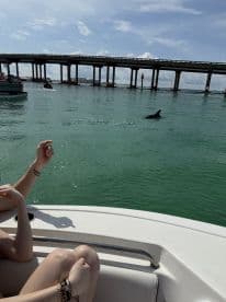 A dolphin swims near a boat while a guest enjoys the view, capturing a memorable wildlife encounter in the water.