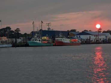 A serene sunset view of fishing boats docked at the marina, reflecting the warm colors of the sky on the water's surface.