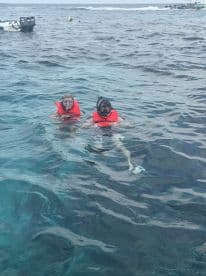 Two snorkelers enjoy exploring the vibrant underwater world, showcasing the excitement of a snorkeling adventure in crystal-clear waters.