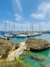 A picturesque view of a marina filled with sailboats and yachts, showcasing the serene beauty of coastal life.