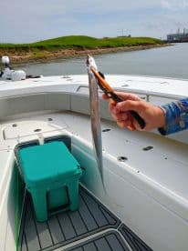 A fisherman holds a freshly caught fish on a boat, showcasing fishing gear and a cooler — perfect for a day of fishing adventures.