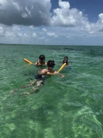 A group of snorkelers enjoys a vibrant underwater experience in clear turquoise waters, showcasing the fun of aquatic adventures.