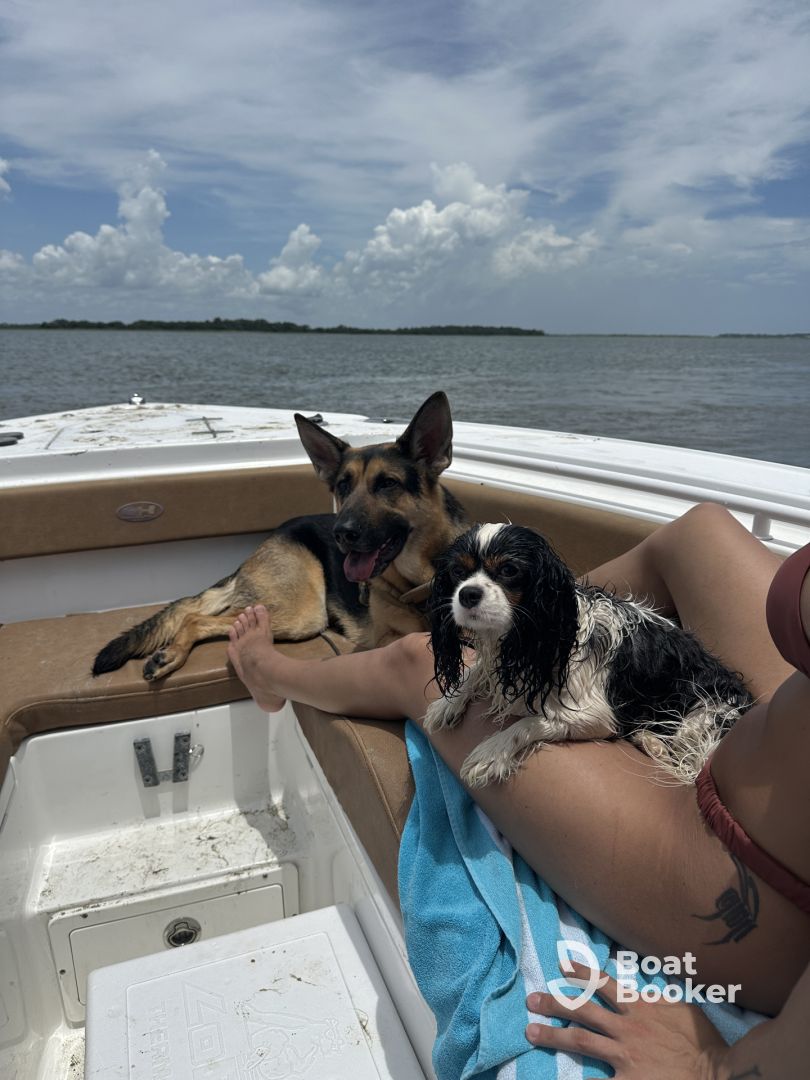 So awesome for dogs!!!