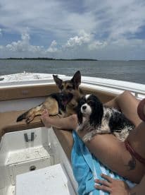 A relaxing moment on a boat with two dogs enjoying the sun and water — perfect for pet-friendly boating adventures.