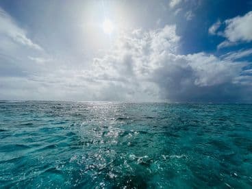 A scenic view of the ocean under a cloudy sky, capturing the shimmering water surface and sunlight, but lacks clarity and focus.