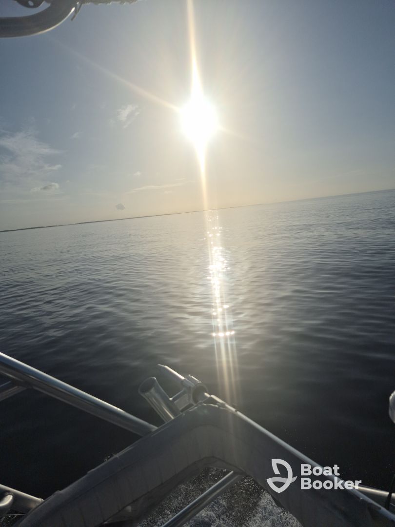 Peaceful Cruise 