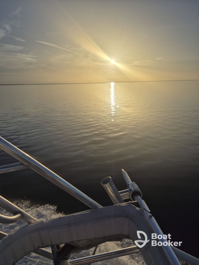 Peaceful Cruise 