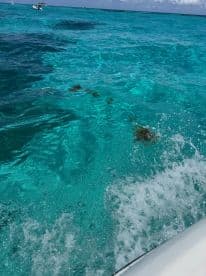 A stunning view of crystal-clear turquoise waters with a glimpse of boats in the distance, perfect for showcasing the beauty of a day on the ocean.