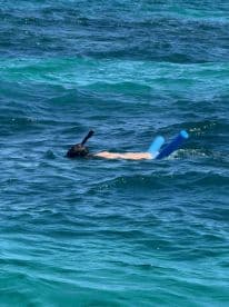 A snorkeler explores the vibrant underwater world in clear turquoise waters, perfect for marine adventures and aquatic exploration.
