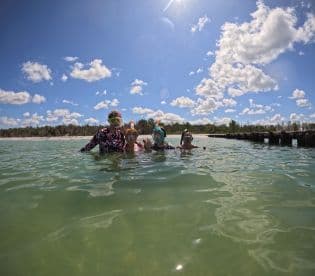 A joyful group of snorkelers enjoys a sunny day in the water, showcasing the fun of family adventures at the beach.